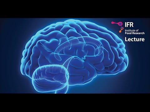 Gut bacteria and the brain - Must Watch!