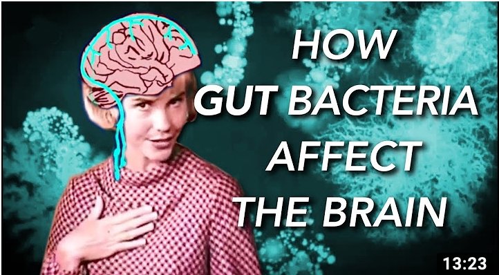 How Gut Bacteria Affect The Brain!