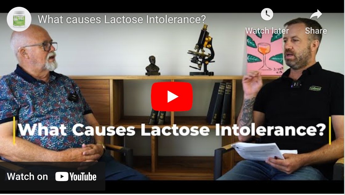 What causes Lactose Intolerance?