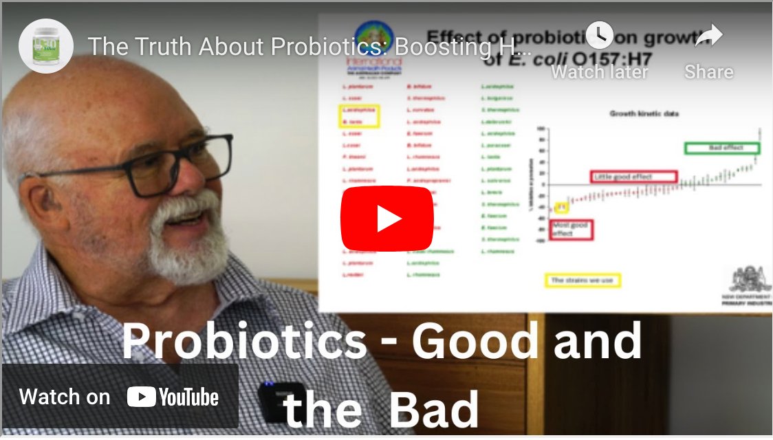 Why are probiotics good for you and sometimes bad for you